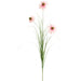 39" Rudbeckia Black-Eyed Susan & Grass Silk Flower Stem -Pink (Pack of 20) - FSB812-PK