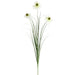 39" Rudbeckia Black-Eyed Susan & Grass Silk Flower Stem -White (Pack of 20) - FSB812-WH