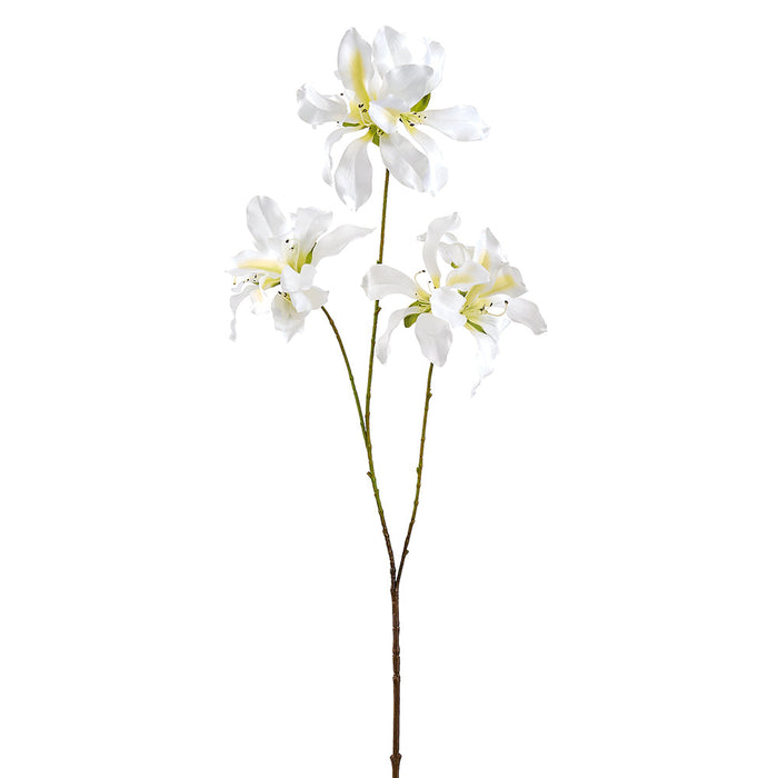 38" Bauhinia Hong Kong Orchid Silk Flower Stem -White (Pack of 12) - FSB864-WH