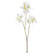 38" Bauhinia Hong Kong Orchid Silk Flower Stem -White (Pack of 12) - FSB864-WH
