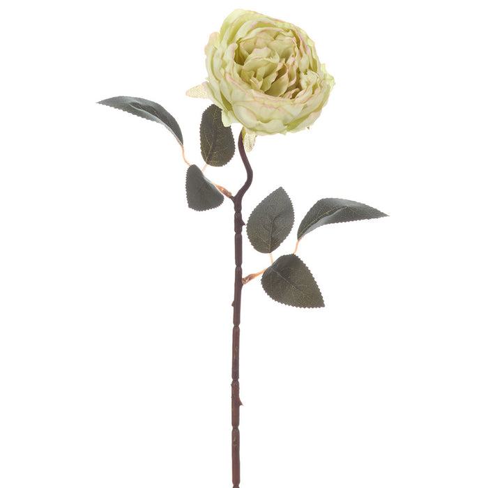 19" Cabbage Rose Silk Flower Stem -Beige (Pack of 12) - FSC005-BE