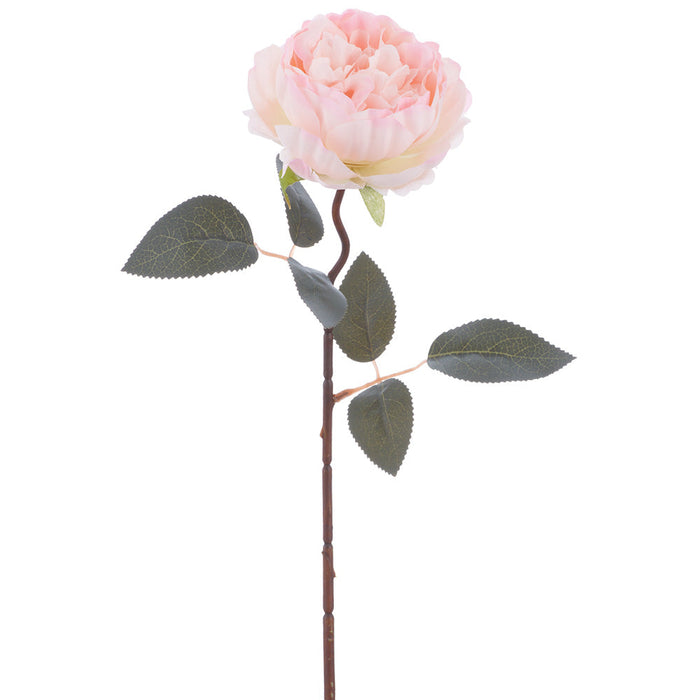 19" Cabbage Rose Silk Flower Stem -Pink (Pack of 12) - FSC005-PK