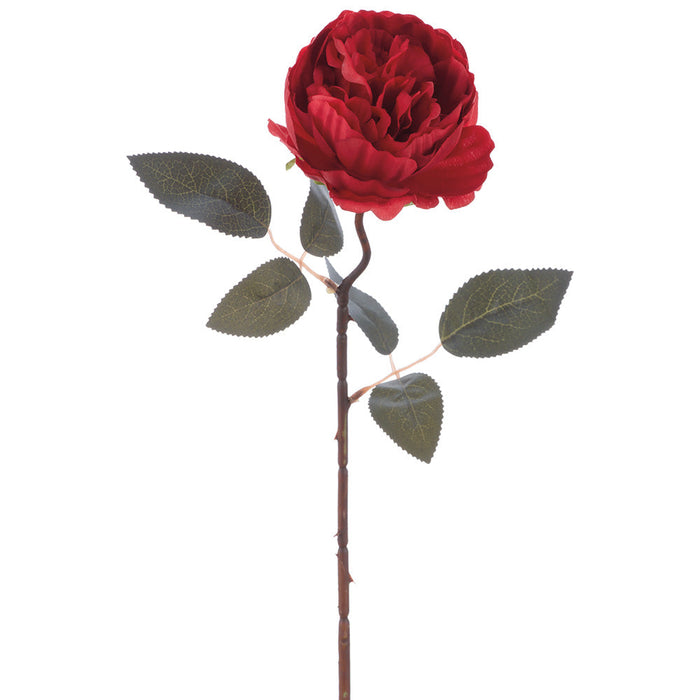 19" Cabbage Rose Silk Flower Stem -Red (Pack of 12) - FSC005-RE