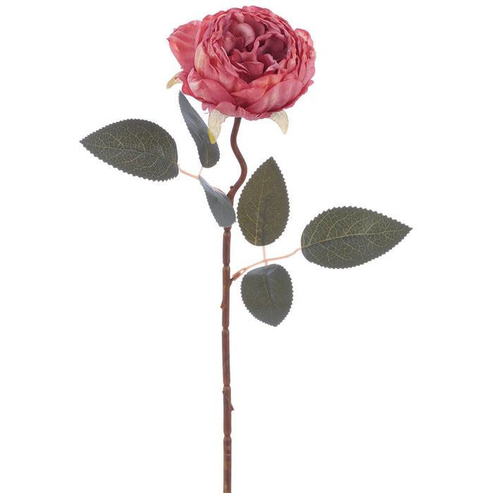 19" Cabbage Rose Silk Flower Stem -Rose (Pack of 12) - FSC005-RO