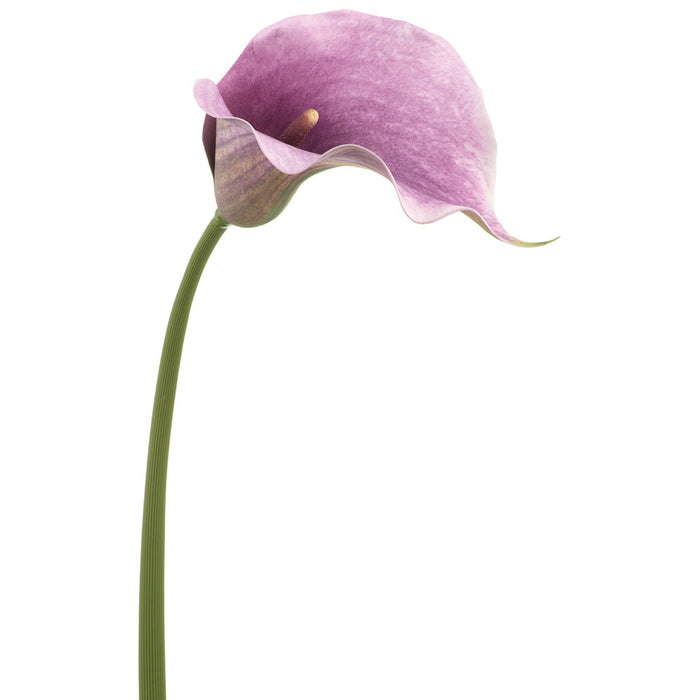 32" Calla Lily Silk Flower Stem -Lavender (Pack of 12) - FSC018-LV