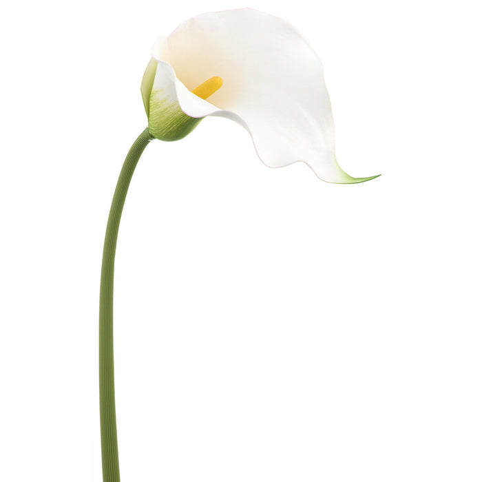 32" Calla Lily Silk Flower Stem -White/Green (Pack of 12) - FSC018-WH/GR