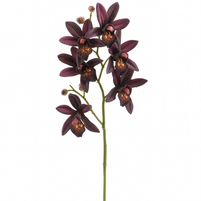 23" Real Touch Cymbidium Orchid Silk Flower Stem -Plum (Pack of 12) - FSC021-PL