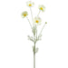 36" Silk Cosmos Flower Stem -Cream/Green (pack of 12) - FSC070-CR/GR