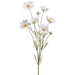 36" Cosmos Silk Flower Stem -White (pack of 24) - FSC110-WH