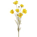36" Cosmos Silk Flower Stem -Yellow (pack of 24) - FSC110-YE