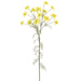 57" Cosmos Silk Flower Stem -Yellow (Pack of 6) - FSC113-YE