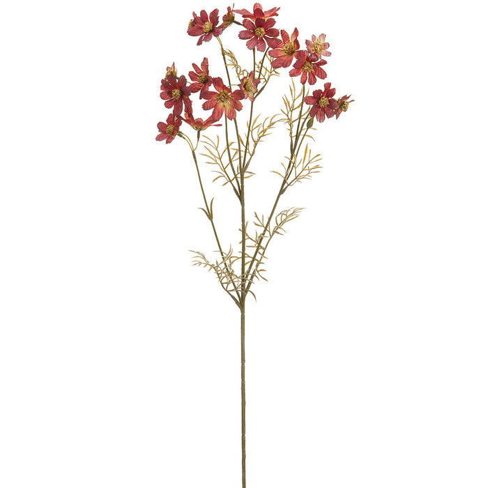 31" Silk Cosmos Flower Stem -Burgundy (pack of 12) - FSC143-BU