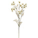 31" Silk Cosmos Flower Stem -Cream (pack of 12) - FSC143-CR