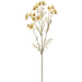 31" Silk Cosmos Flower Stem -Tan (pack of 12) - FSC143-TN
