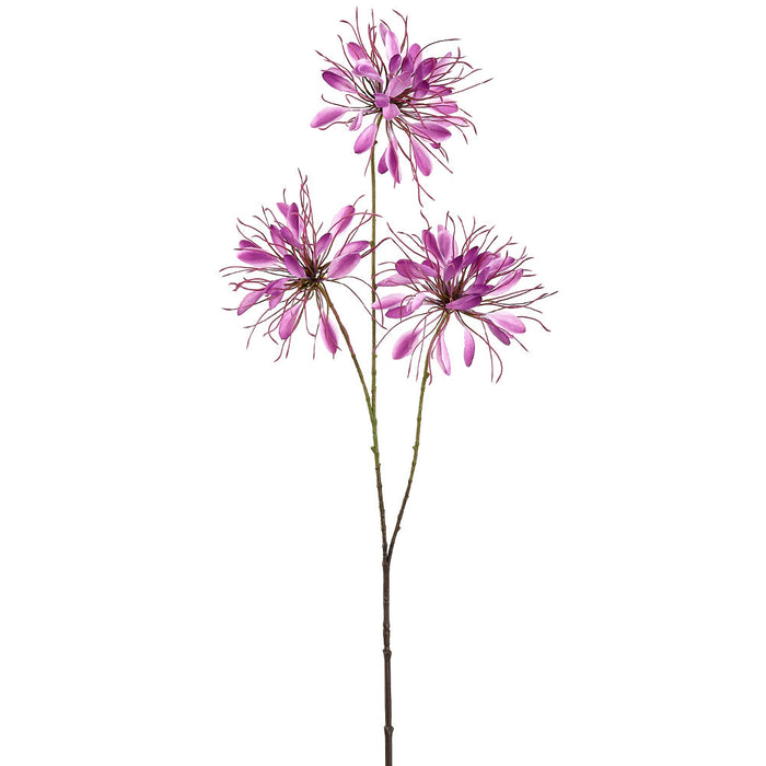 37" Cleome Spinosa Spiny Spiderflower Silk Flower Stem -Fuchsia (Pack of 12) - FSC184-FU