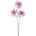 37" Cleome Spinosa Spiny Spiderflower Silk Flower Stem -Fuchsia (Pack of 12) - FSC184-FU