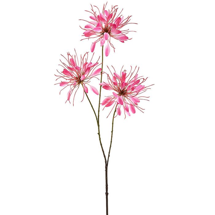 37" Cleome Spinosa Spiny Spiderflower Silk Flower Stem -Orchid (Pack of 12) - FSC184-OC