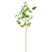 46" Silk Clematis Flower Stem -White (pack of 12) - FSC243-WH