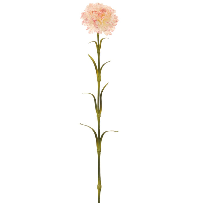 25.5" Silk Carnation Flower Stem -Blush (pack of 12) - FSC274-BS