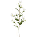 33" Real Touch Silk Clematis Flower Stem -White (pack of 12) - FSC329-WH
