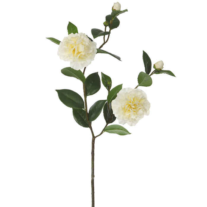 36" Real Touch Silk Camellia Flower Stem -Cream (pack of 12) - FSC331-CR