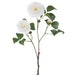 25.5" Silk Camellia Flower Stem -Cream (pack of 12) - FSC342-CR