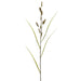 45" Cattail Grass Artificial Flower Stem -Green/Brown (Pack of 12) - FSC418-GR/BR