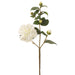 21.5" Camellia Silk Flower Stem -White (pack of 12) - FSC446-WH