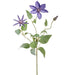 28" Clematis Silk Flower Stem -Blue (Pack of 12) - FSC504-BL