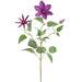 28" Clematis Silk Flower Stem -Dark Purple (Pack of 12) - FSC504-PU/DK