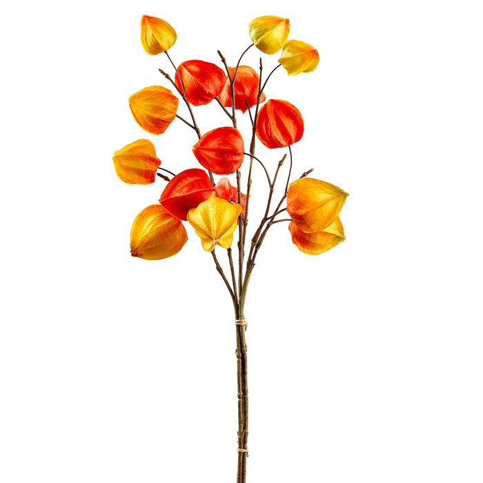 18" Artificial Chinese Lantern Flower Stem Bundle -2 Tone Orange (pack of 12) - FSC531-OR/TT