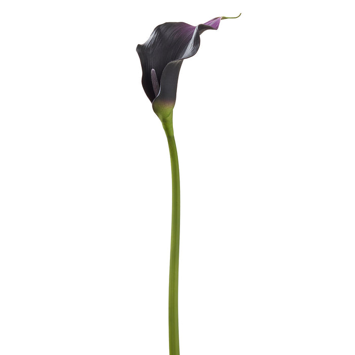 24" Calla Lily Silk Flower Stem -Eggplant (pack of 12) - FSC600-EP
