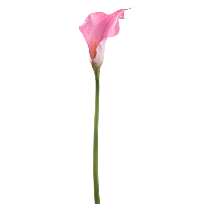 24" Calla Lily Silk Flower Stem -Pink (pack of 12) - FSC600-PK