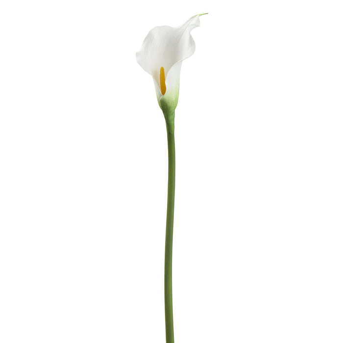 24" Calla Lily Silk Flower Stem -White (pack of 12) - FSC600-WH