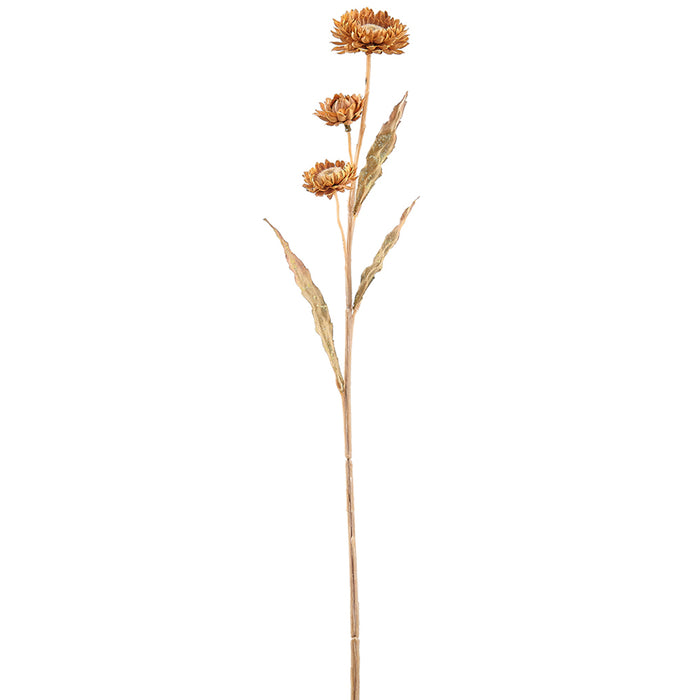 24" Silk Calendula Flower Stem -Butterscotch (pack of 12) - FSC714-BO