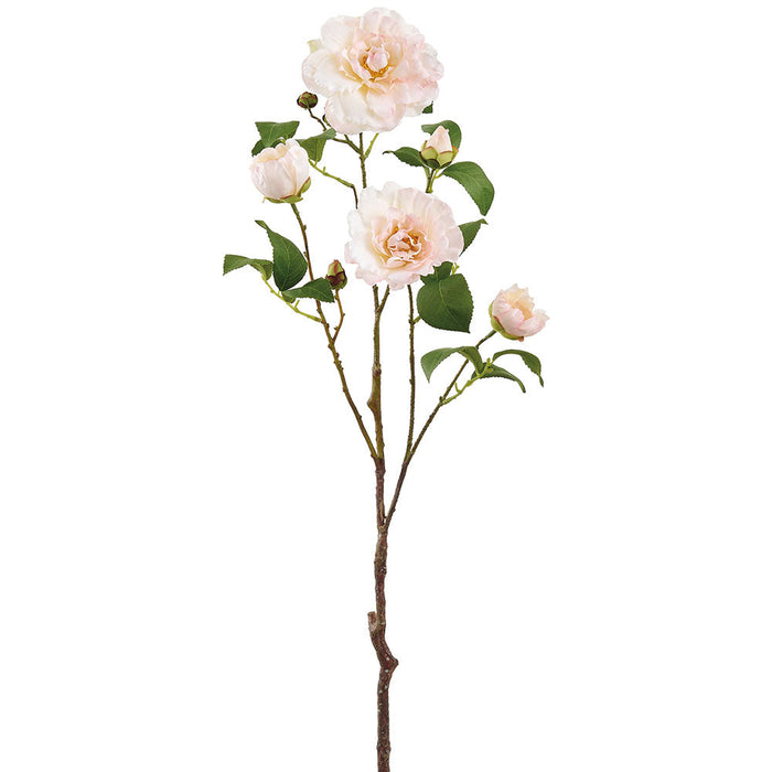 28.5" Camellia Silk Flower Stem -Soft Peach (Pack of 12) - FSC868-PE/SO
