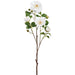28.5" Camellia Silk Flower Stem -White (Pack of 12) - FSC868-WH