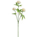 21.5" Silk Meadow Clover Flower Stem -Cream (pack of 12) - FSC909-CR
