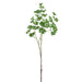 33" Coleus Leaf Silk Stem -Green (Pack of 12) - FSC921-GR