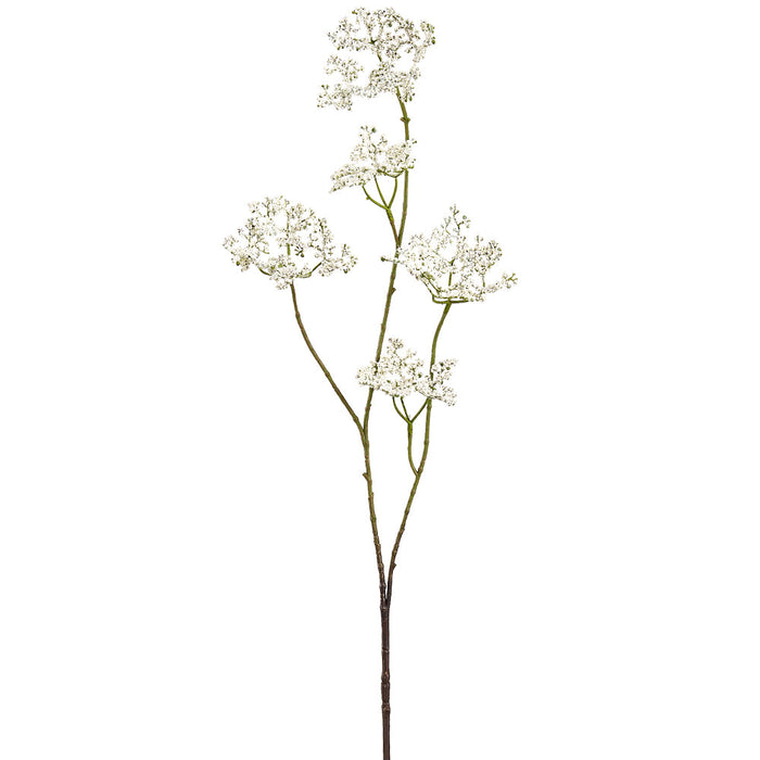 36" Causonis Japonica Silk Flower Stem -White (Pack of 12) - FSC957-WH
