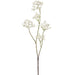 36" Causonis Japonica Silk Flower Stem -White (Pack of 12) - FSC957-WH