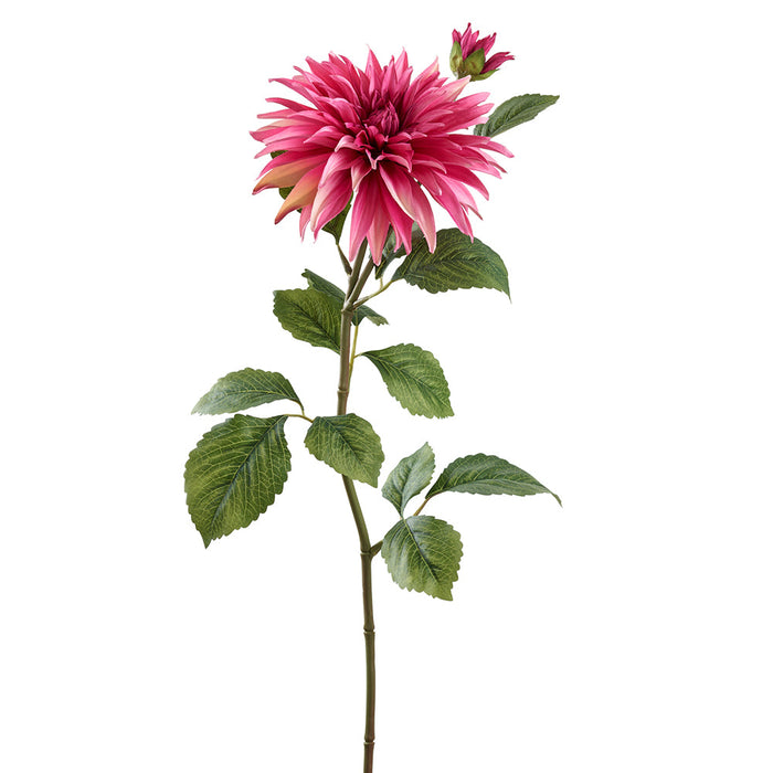 29" Dahlia Artificial Flower Stem -Beauty (pack of 12) - FSD019-BT