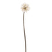 29" Dandelion Artificial Flower Stem -Beige (Pack of 12) - FSD036-BE