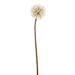 34" Dandelion Artificial Flower Stem -Beige (Pack of 6) - FSD038-BE