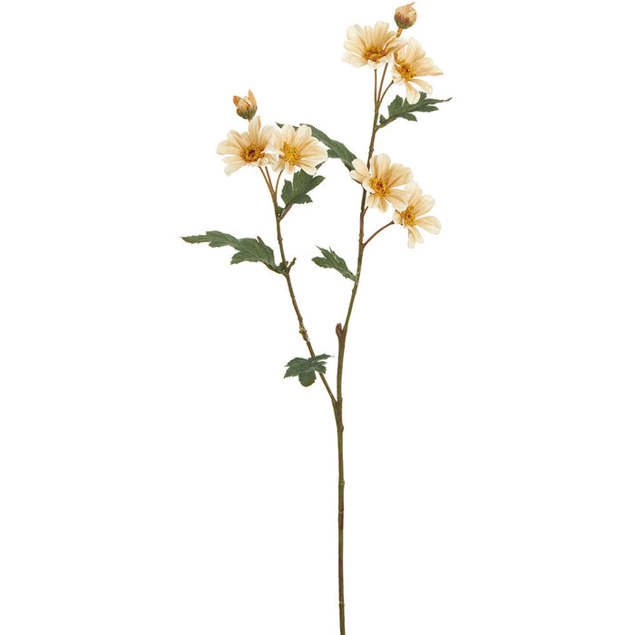 24.5" Silk Daisy Flower Stem -Beige (pack of 12) - FSD110-BE