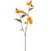 24.5" Silk Daisy Flower Stem -Mustard (pack of 12) - FSD110-MD