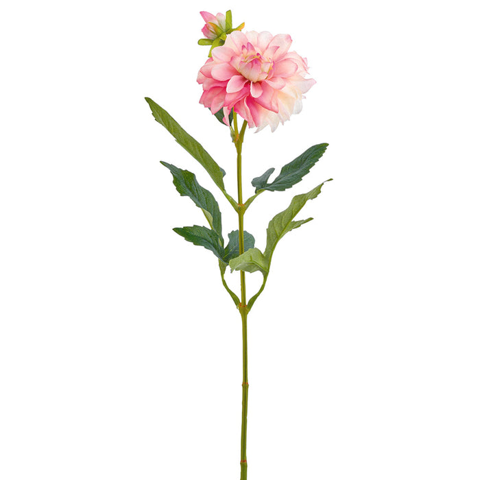 24" Dahlia Silk Flower Stem -Pink/Cream (Pack of 12) - FSD174-PK/CR