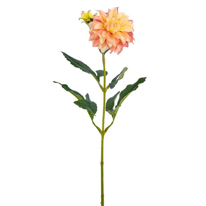 24" Dahlia Silk Flower Stem -Yellow/Cerise (Pack of 12) - FSD174-YE/CE