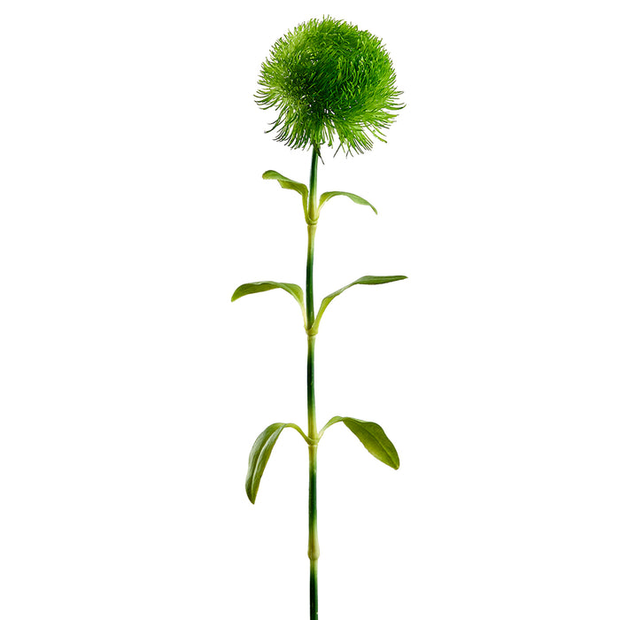 19.5" Real Touch Artificial Dianthus Flower Stem -Green (pack of 12) - FSD188-GR