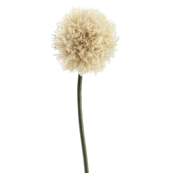 34" Dandelion Artificial Flower Stem -Beige (Pack of 12) - FSD219-BE